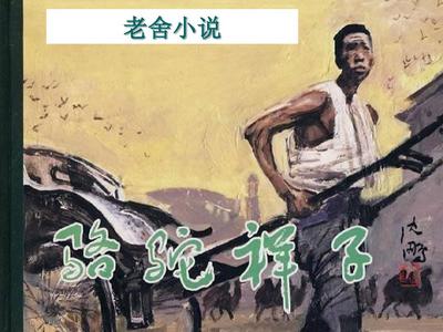 张津瑜不雅事件吃瓜